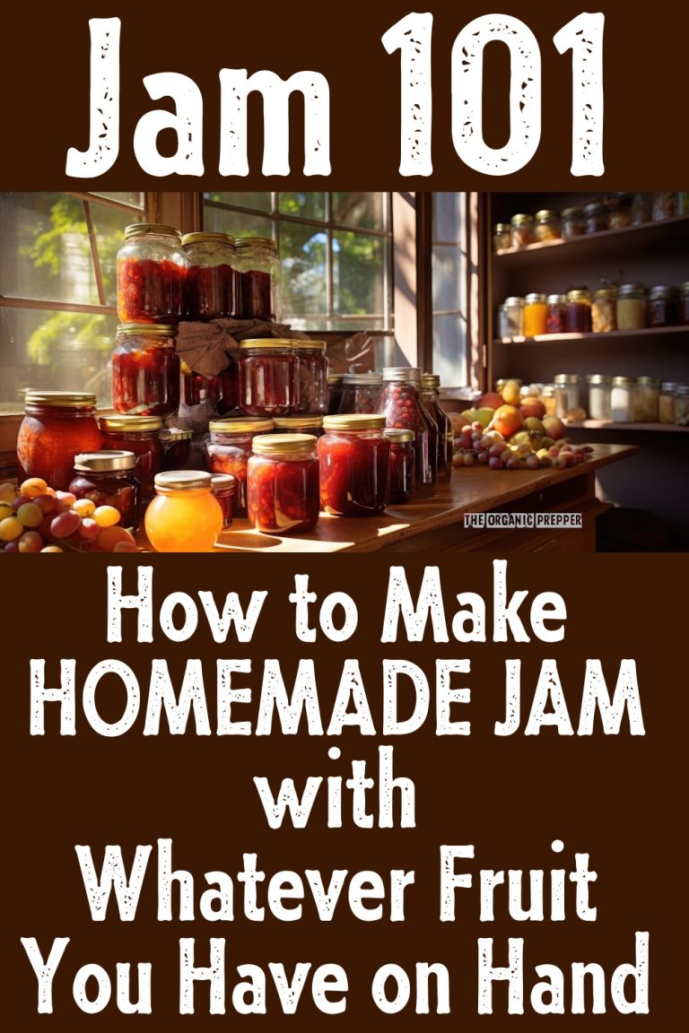 Jam 101: How to Make Jam with Whatever Fruit You Have on Hand - The ...