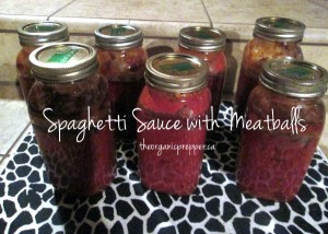 spaghetti sauce with meatballs