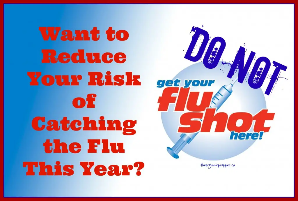 How to Reduce Your Risk of Catching the Flu This Year - The Organic Prepper