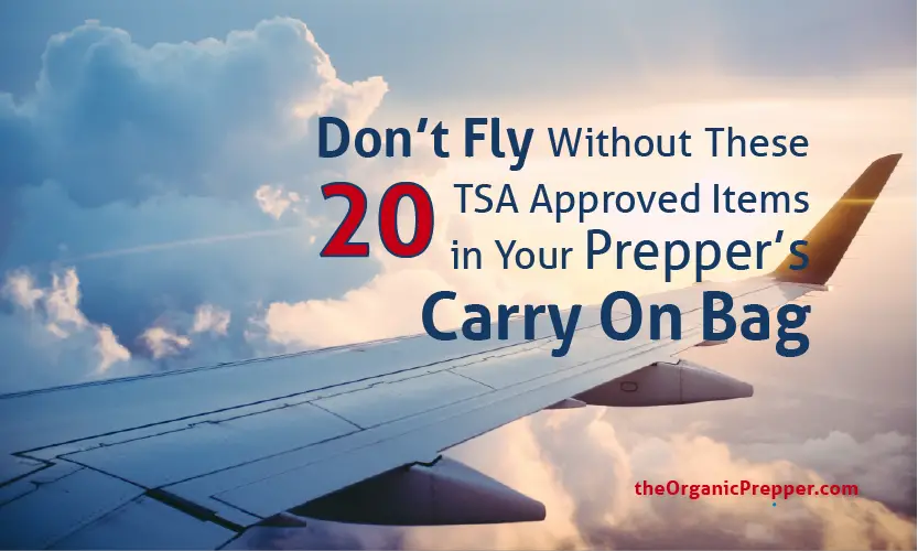 Don't Fly Without These 20 TSA-Approved Items in Your Prepper's Carry-on  Bag