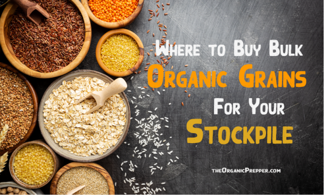 Where to Buy Bulk Organic Grains for Your Stockpile - The Organic Prepper