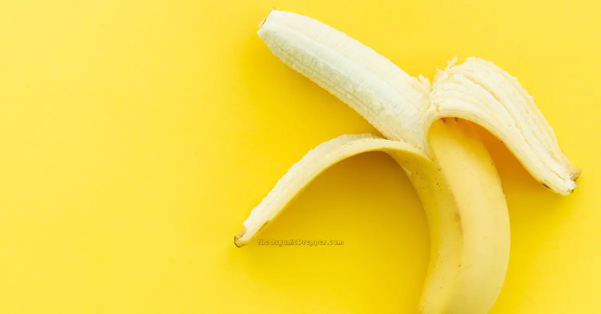 20 Ways to Use Banana Peels - The Organic Prepper