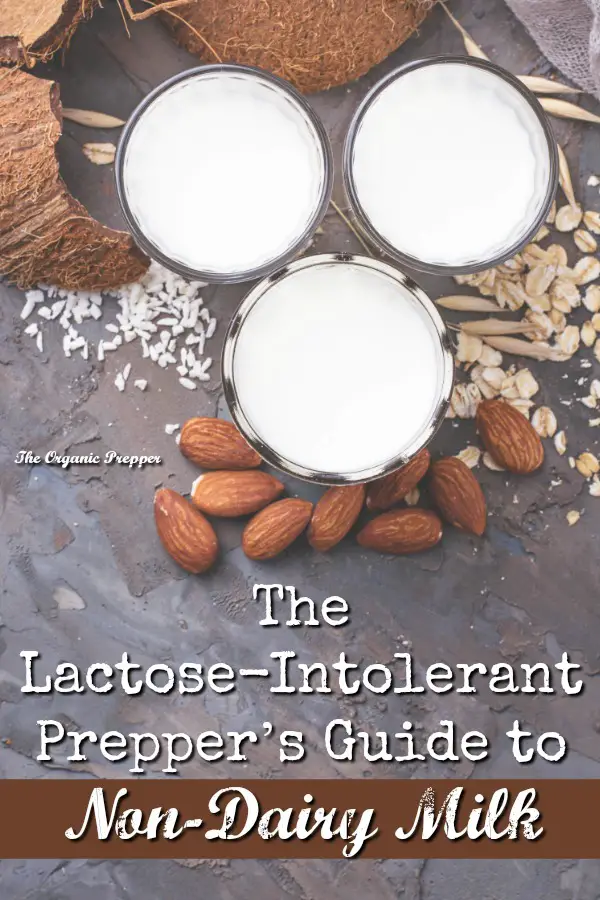 The Lactose-Intolerant Prepper's Guide to Non-Dairy Milk