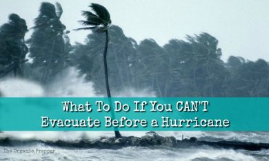 What To Do When You CAN'T Evacuate - The Organic Prepper