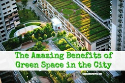 The Amazing Benefits of Green Space in the City - The Organic Prepper