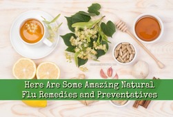 Amazing Natural Flu Remedies And Preventatives - The Organic Prepper