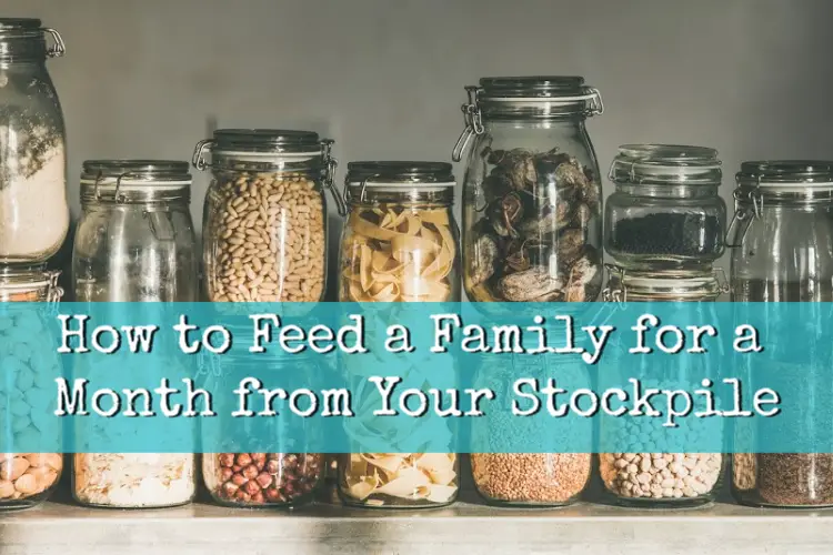 feed-a-family-for-a-month-from-your-stockpile-the-organic-prepper