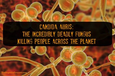 Candida Auris: The Incredibly Deadly Fungus KILLING People Globally