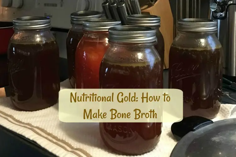 How To Make Your Own Bone Broth - The Organic Prepper