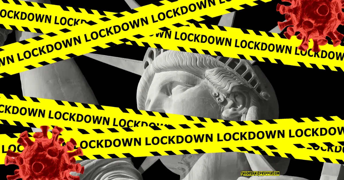 Is Another Lockdown Coming 2024 Usa Trix Alameda