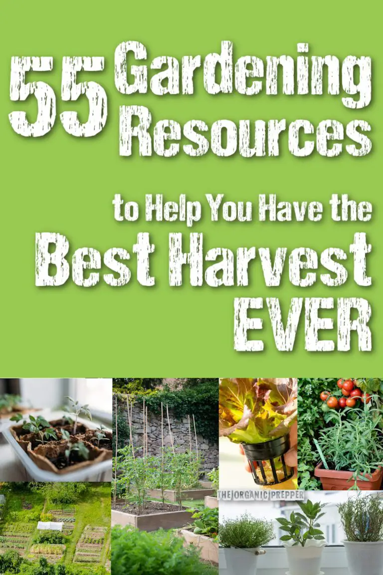 55-gardening-resources-to-help-you-have-the-best-harvest-ever